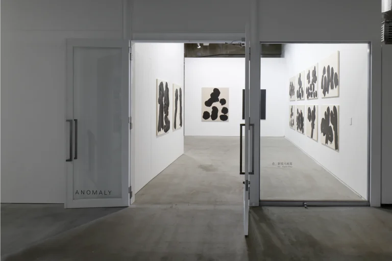 Installation view of Daichiro Shinjo "Aka", ANOMALY (Tokyo), 2025