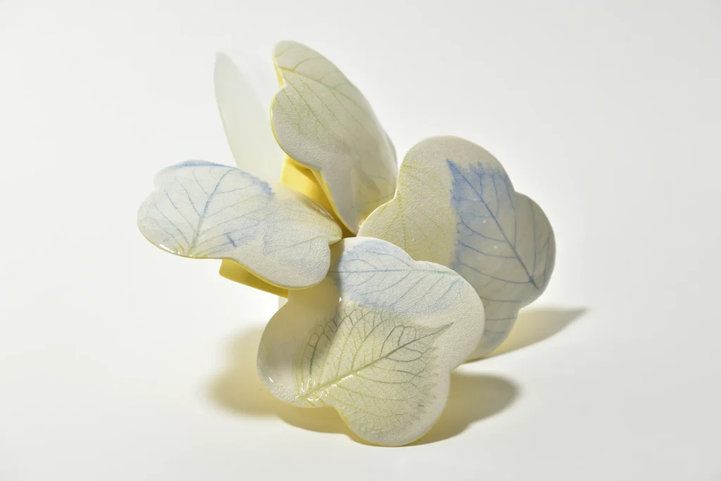 Hydrangea 1