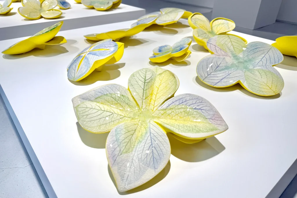 Photo of Water Vessel series on display