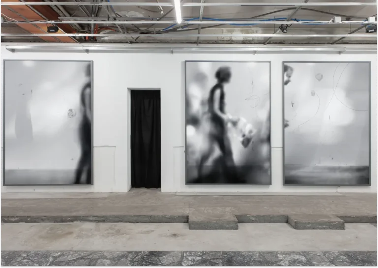 Confuse A Cat, Installation view at Kunsthaus Steffisburg, Switzerland © Galerie EIGEN + ART Berlin, Germany