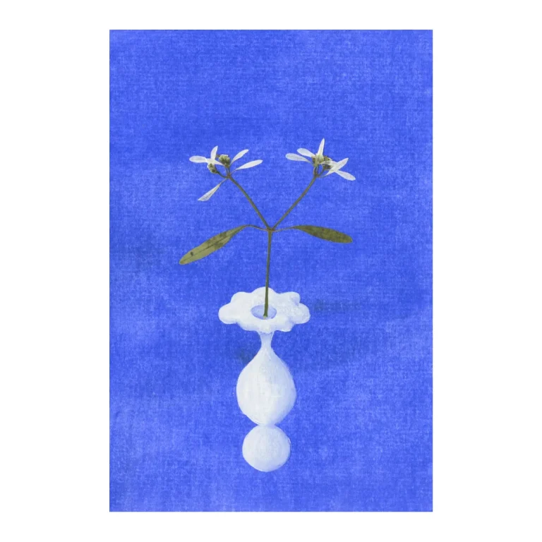 Ikebana Collection, 2018. Courtesy Keteleer Gallery and the artist