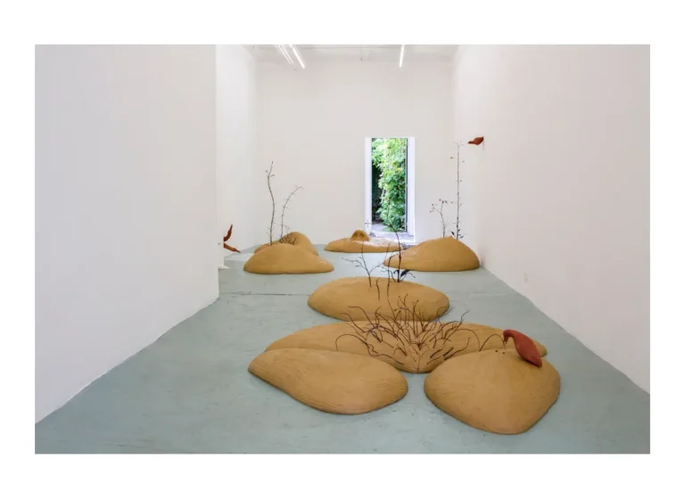 Installation view of Hairy Tale, 2023, solo exhibition at Lichtekooi, Antwerp (BE).
Photography by Thor Salden.
Courtesy the artist