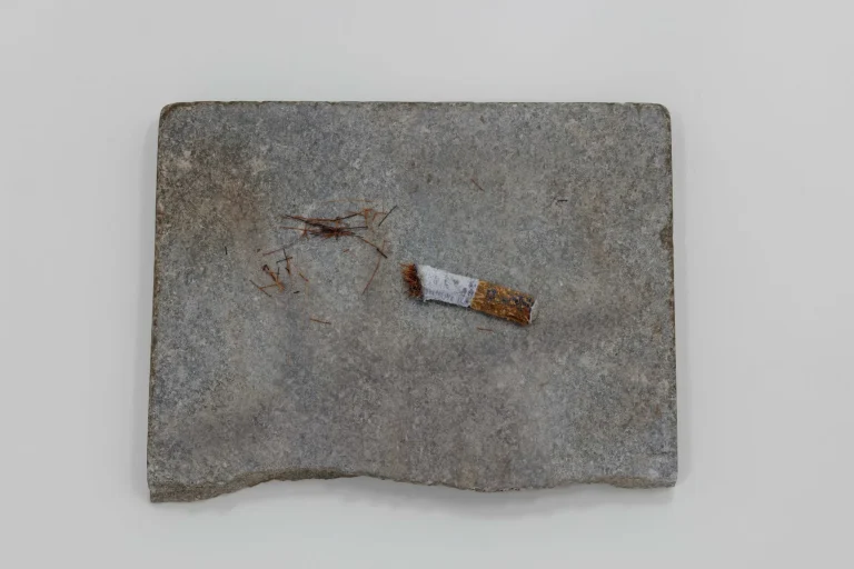 Mr. N’s cigarette butt, 2023, Embroidery on polyester, organza, concrete, video, 50 × φ8 mm (cigarette butt) © AOYAMA Satoru, Courtesy of Mizuma Art Gallery, Photography by MIYAJIMA Kei
