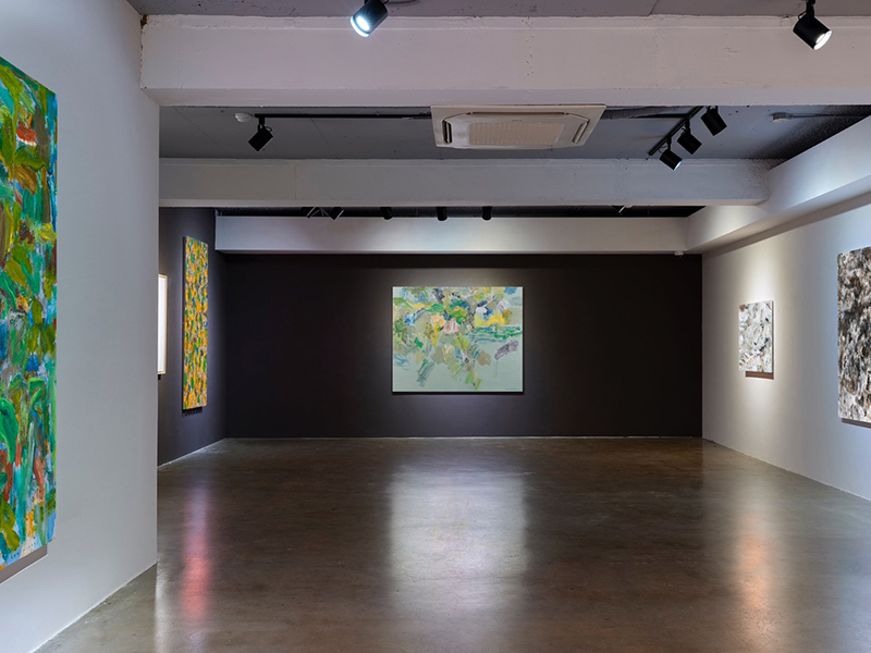Suppoment Gallery