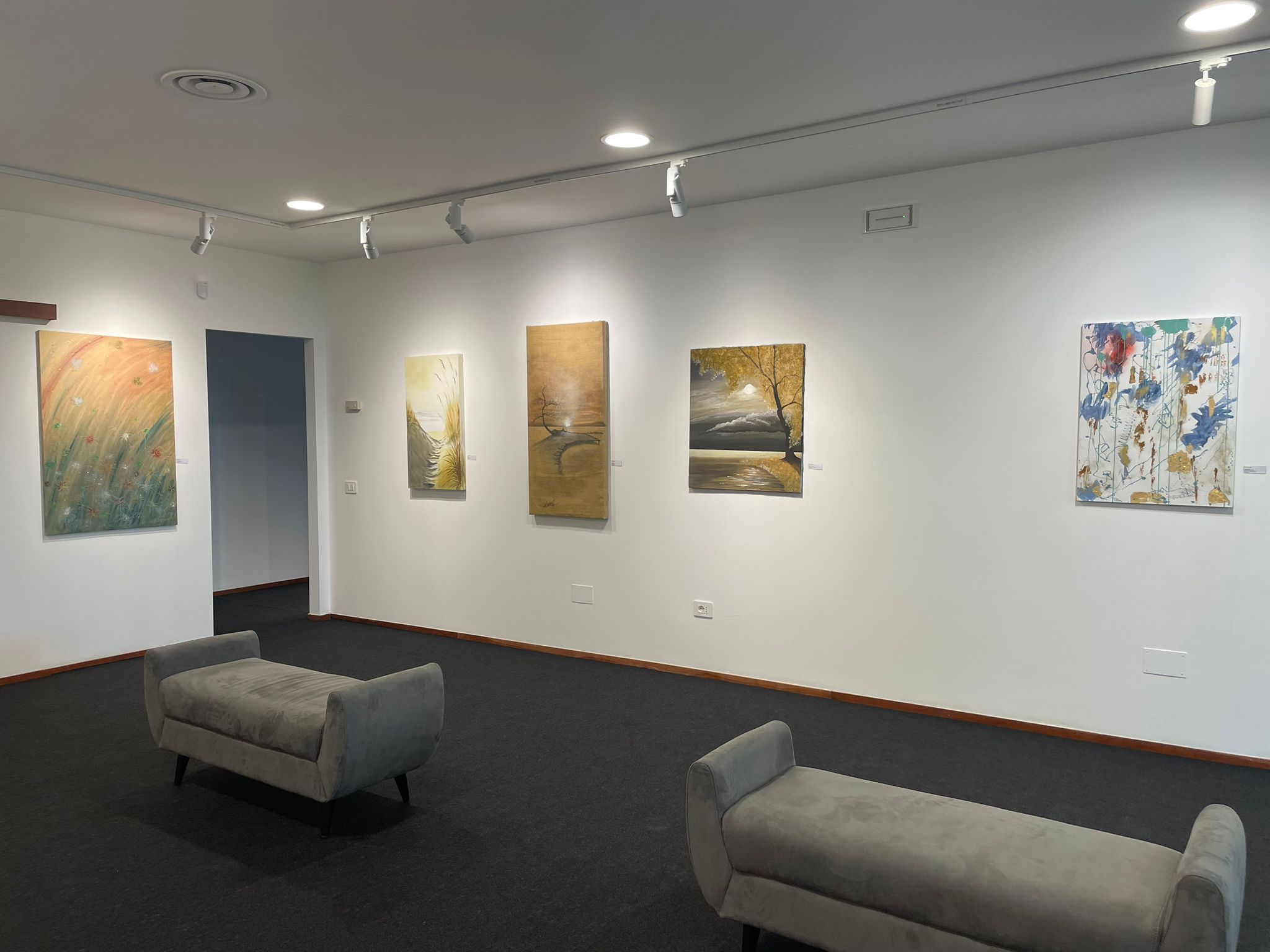 Sofi Gallery