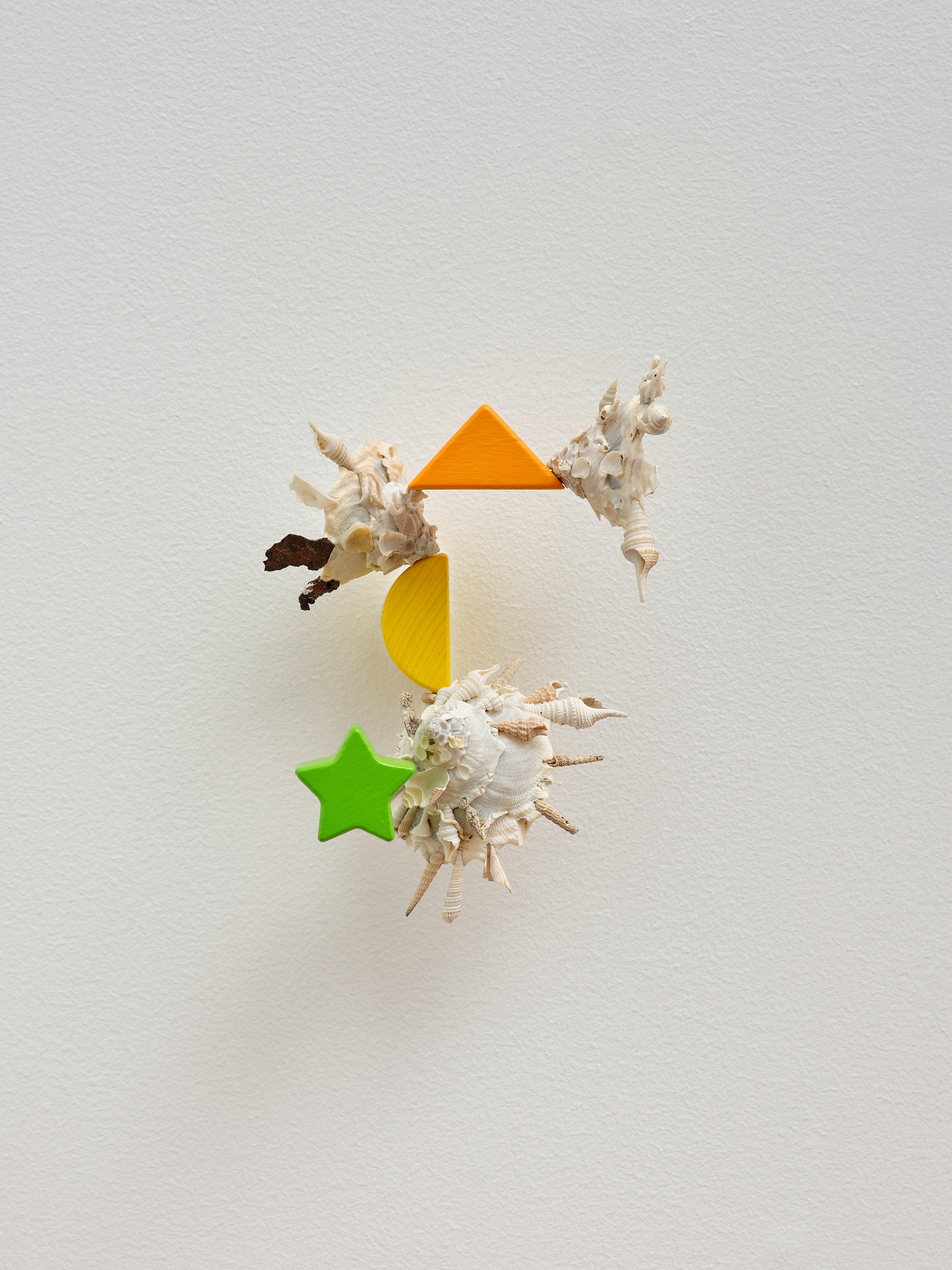 Assimilation Study (Xenophora) (4.)