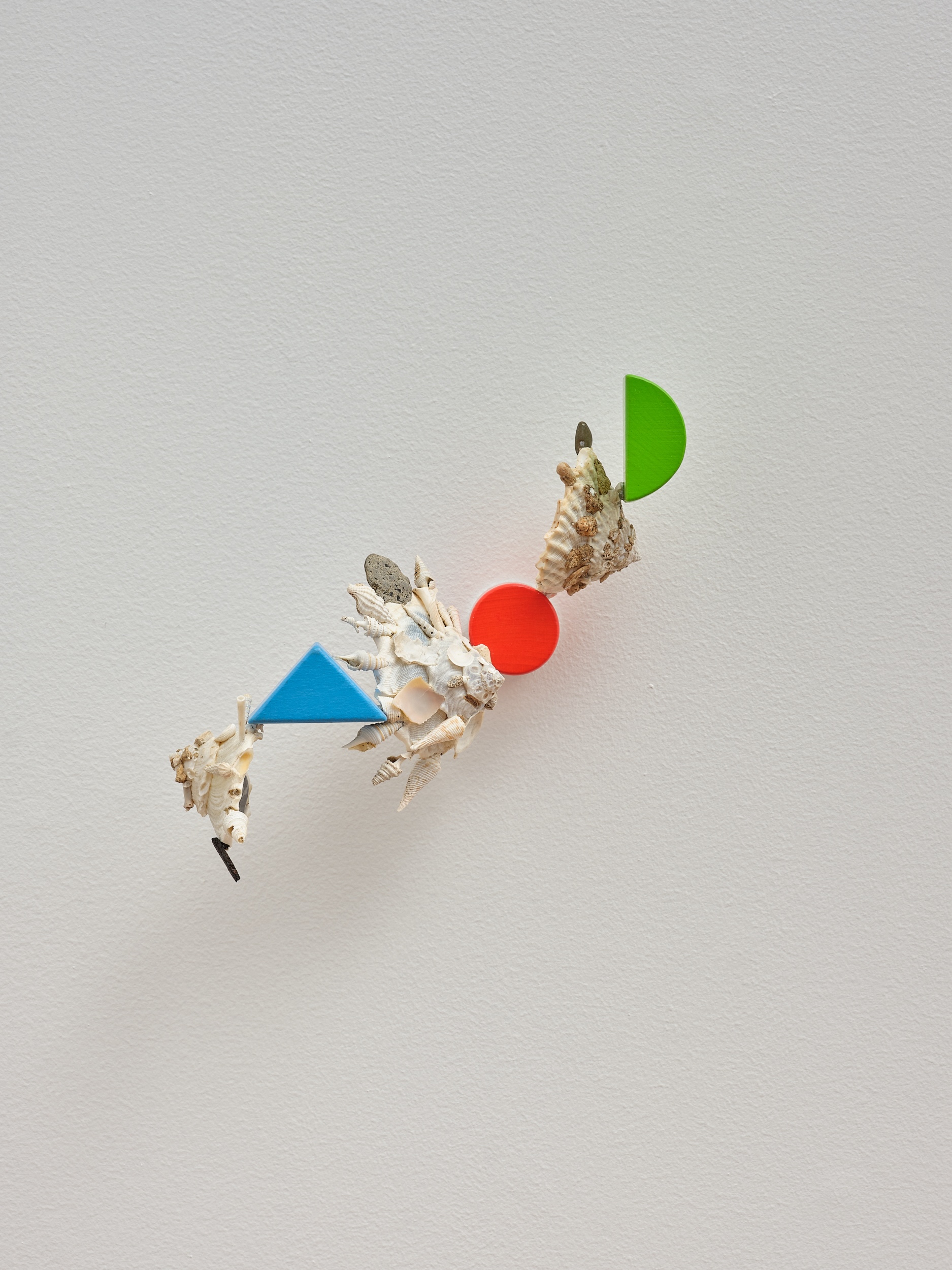 Assimilation Study (Xenophora) (5.)