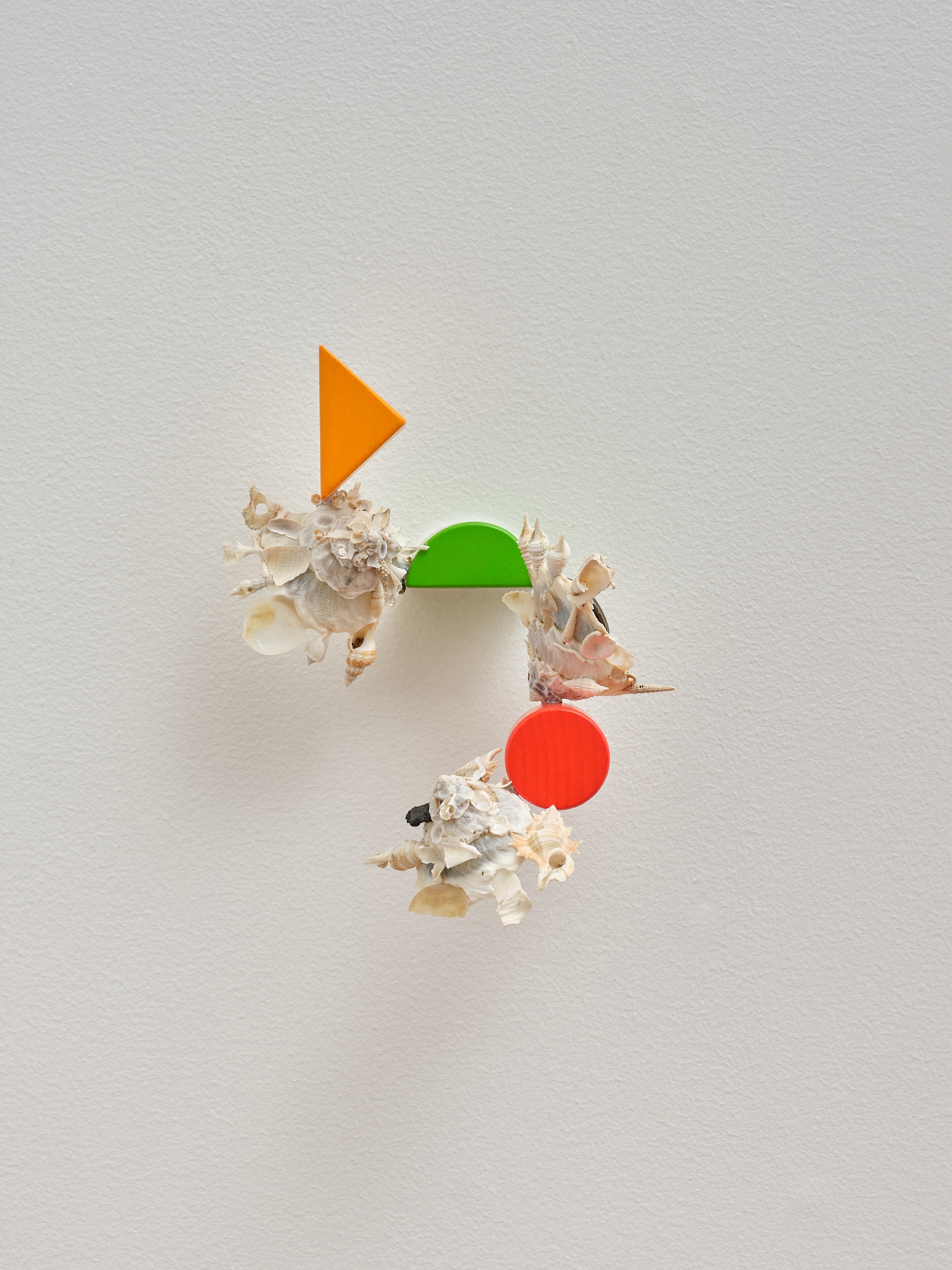 Assimilation Study (Xenophora) (7.)