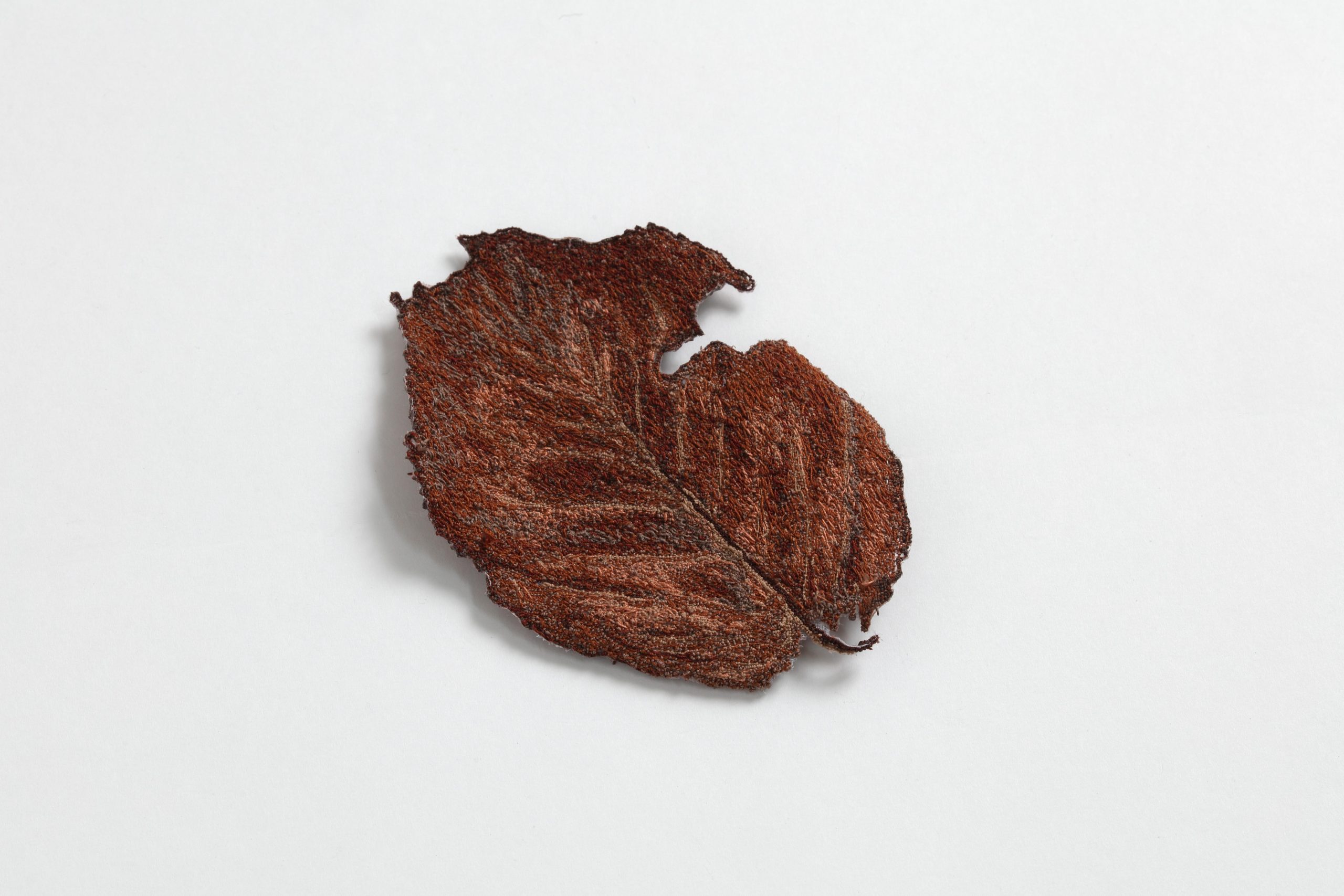 Dead Leaves (Mr. N's Former Factory）1