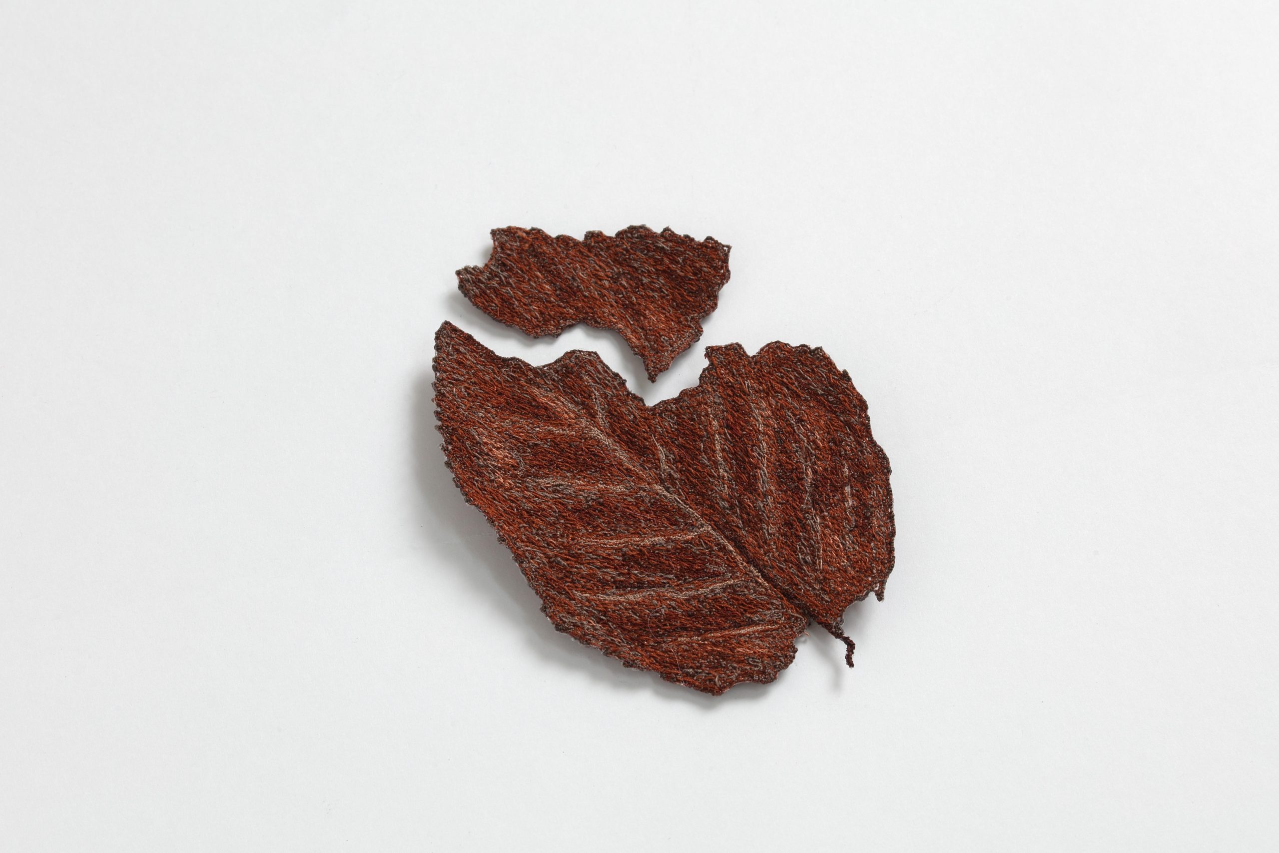 Dead Leaves (Mr. N's Former Factory）2