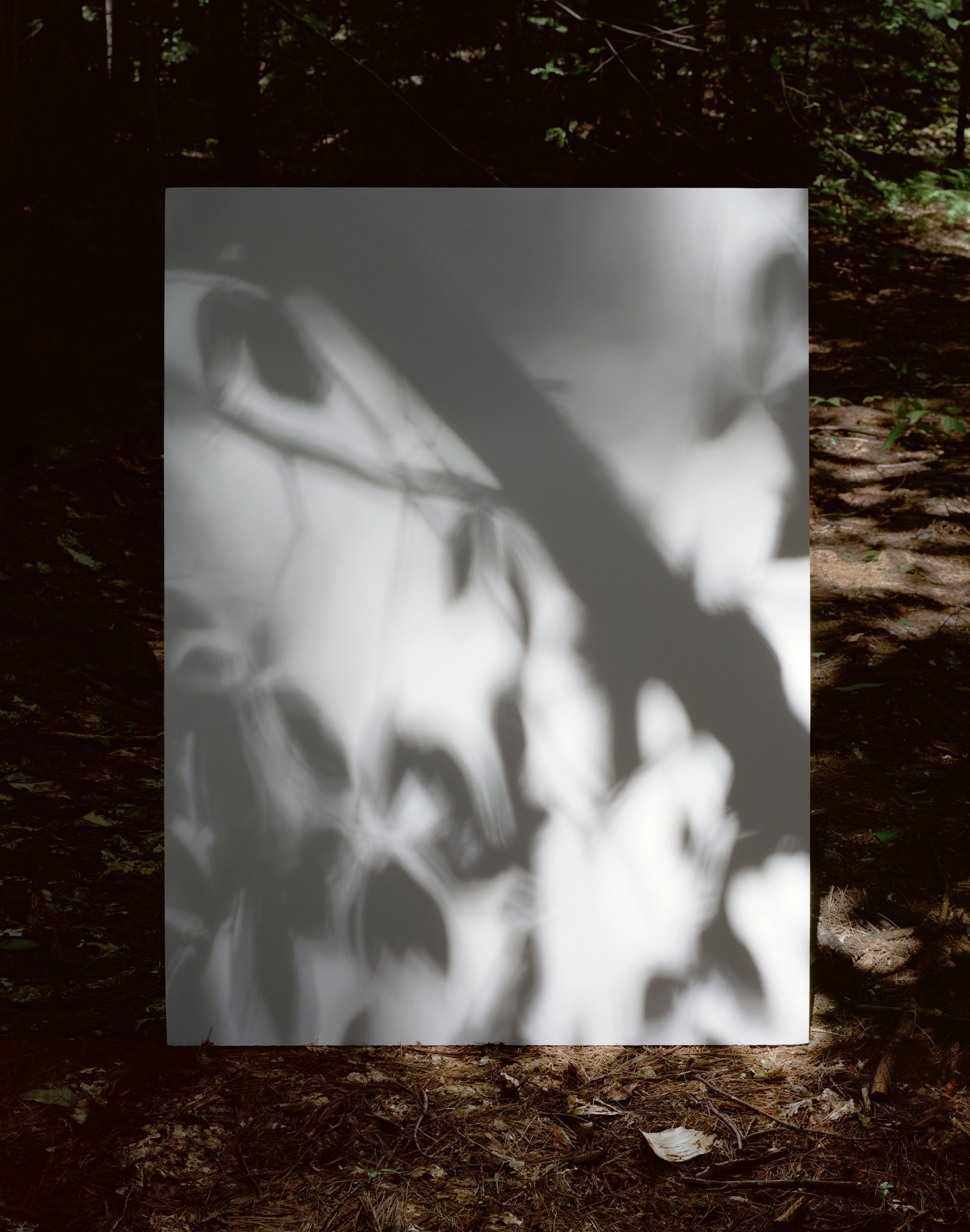 Place Series #1