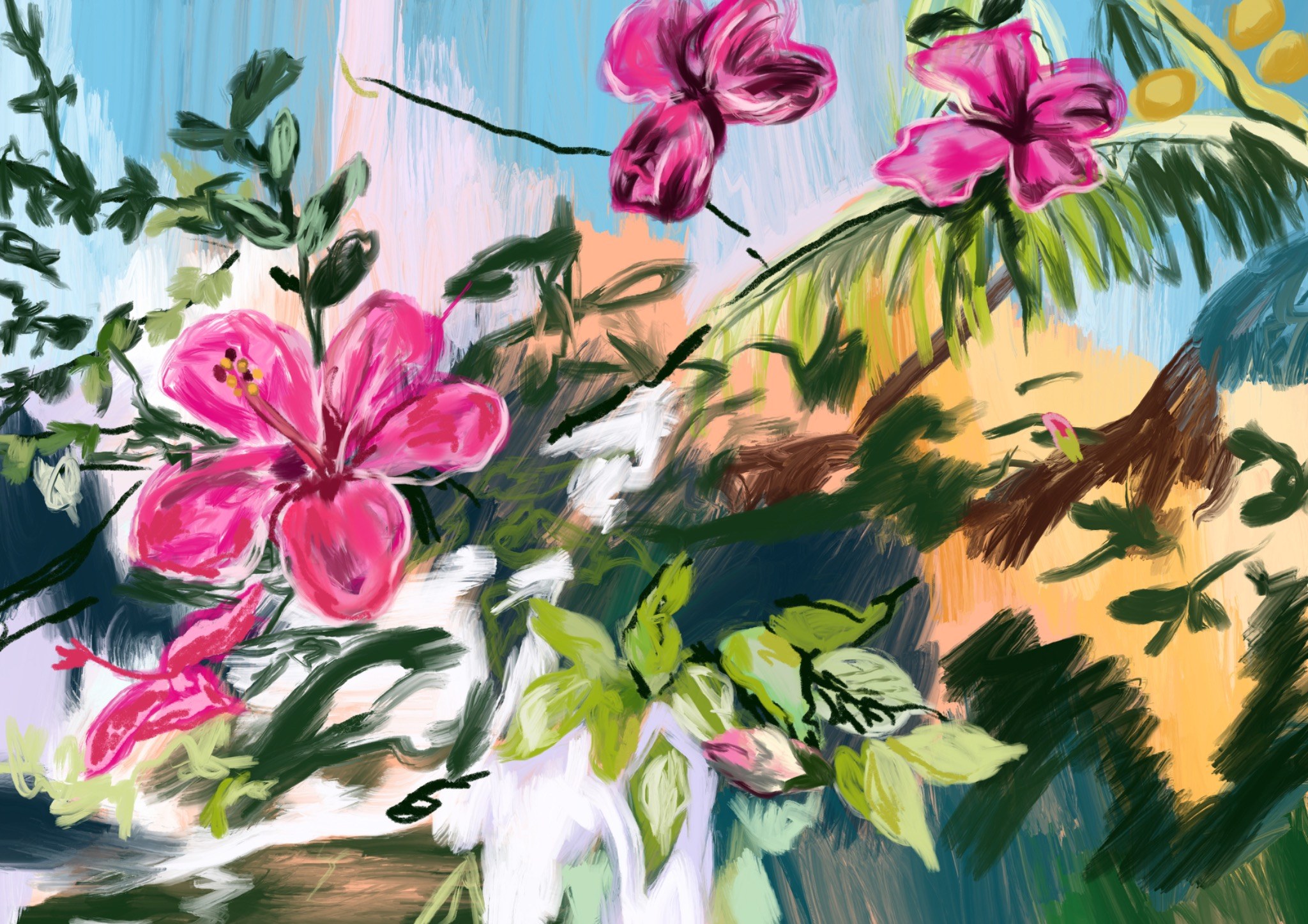 Hibiscus Blooms / ハイビスカスの花