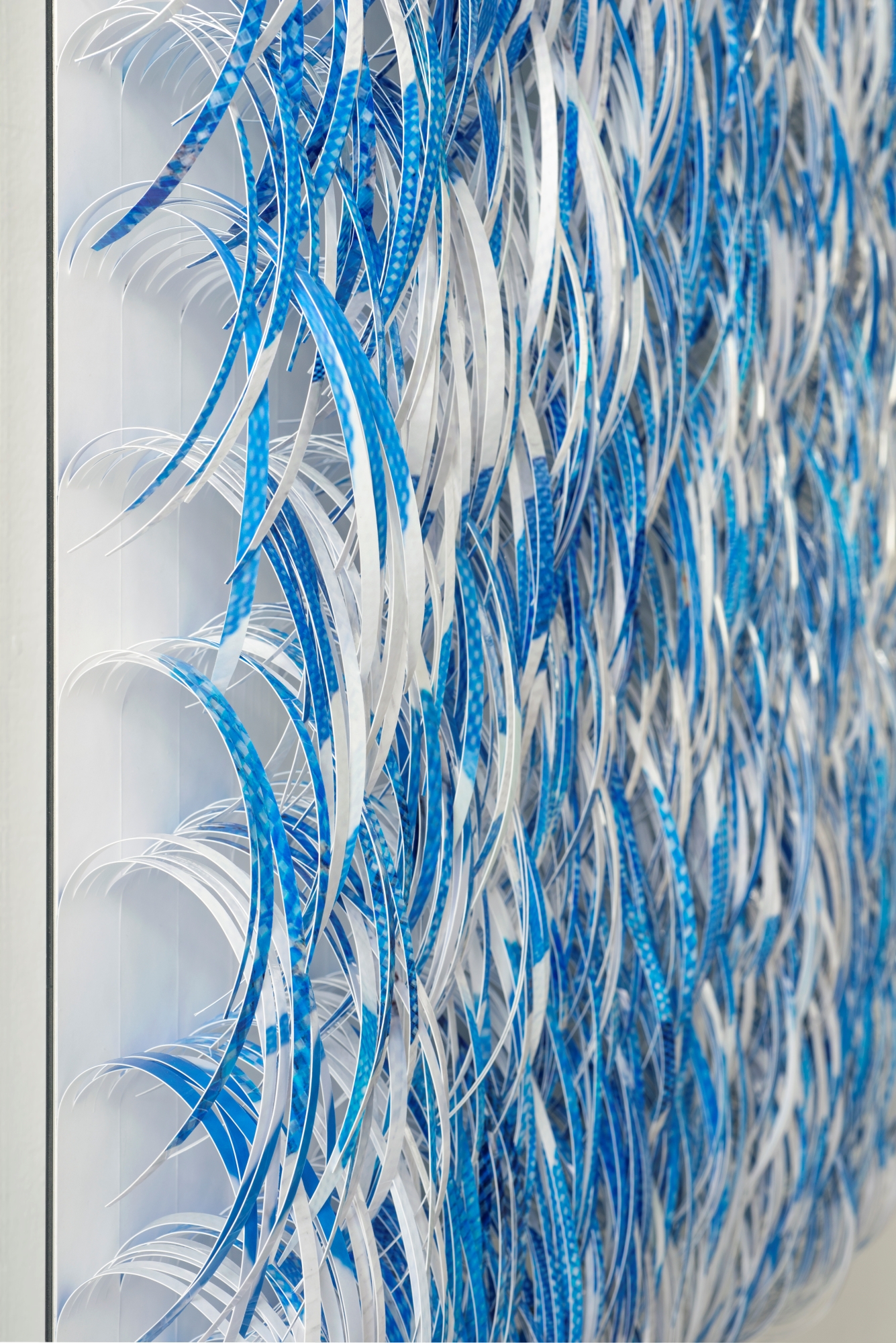 Blue and White Tarp | 青と白のタープ