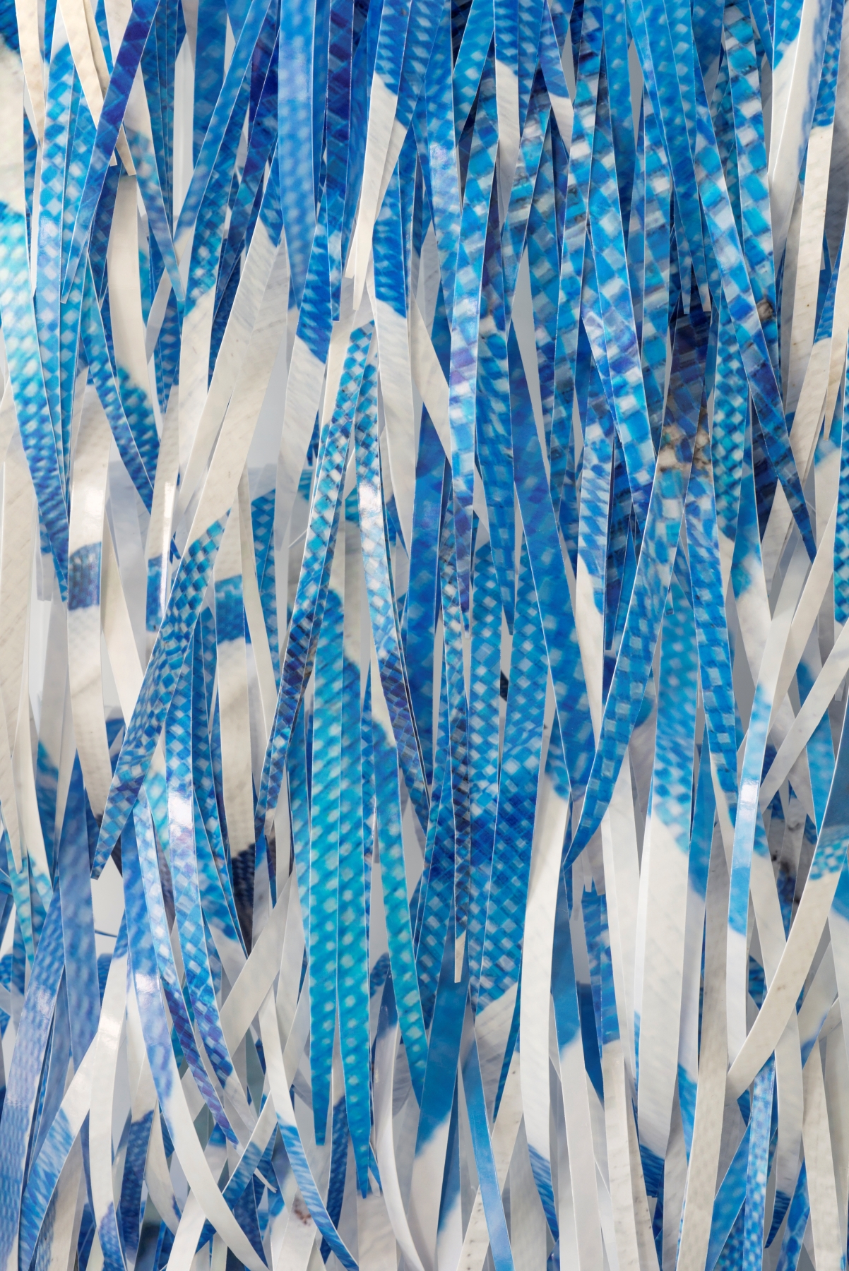 Blue and White Tarp | 青と白のタープ