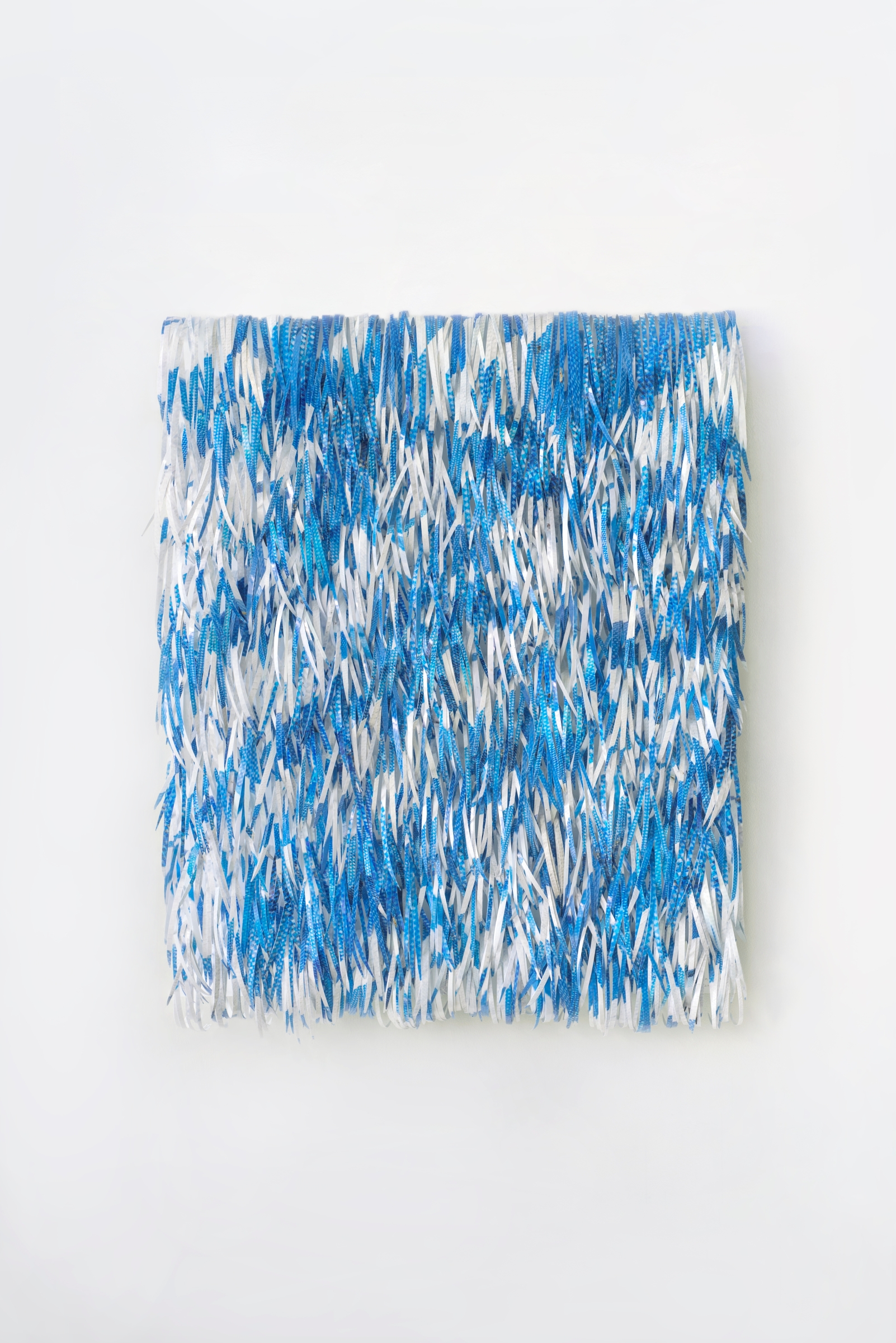 Blue and White Tarp | 青と白のタープ