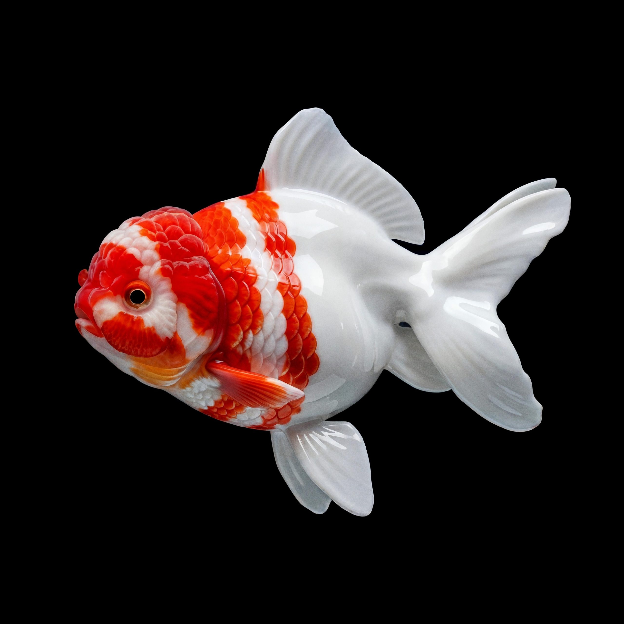 Goldfish (Zero One)