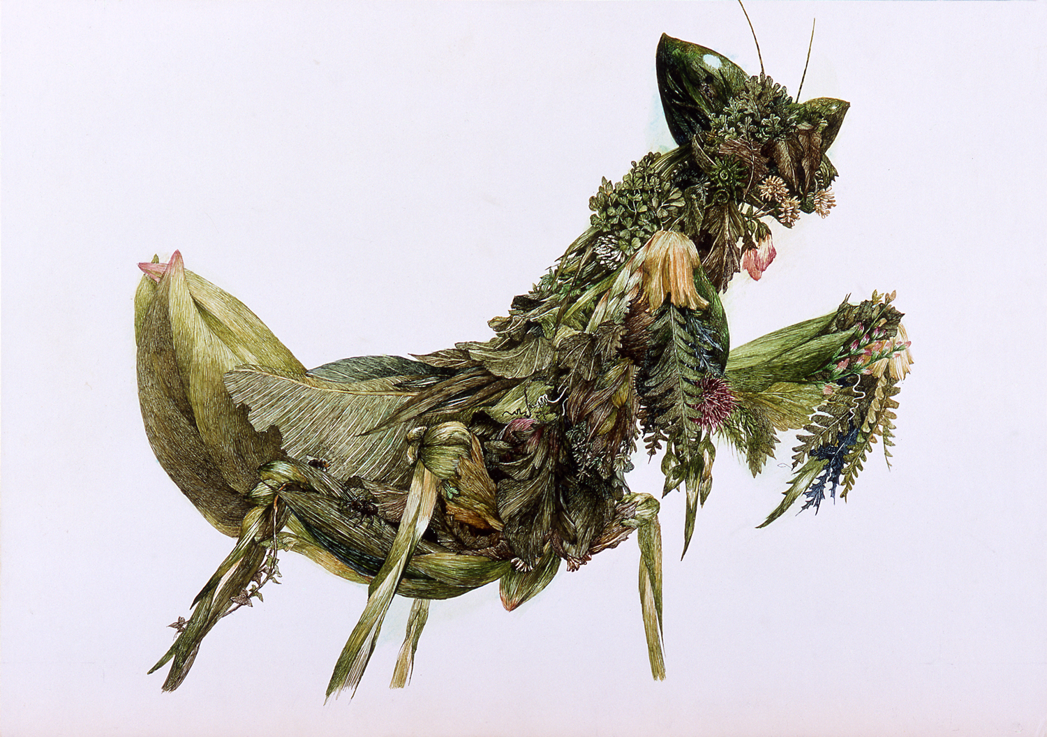 Grass Mantis ed./30｜くさかまきり ed./30