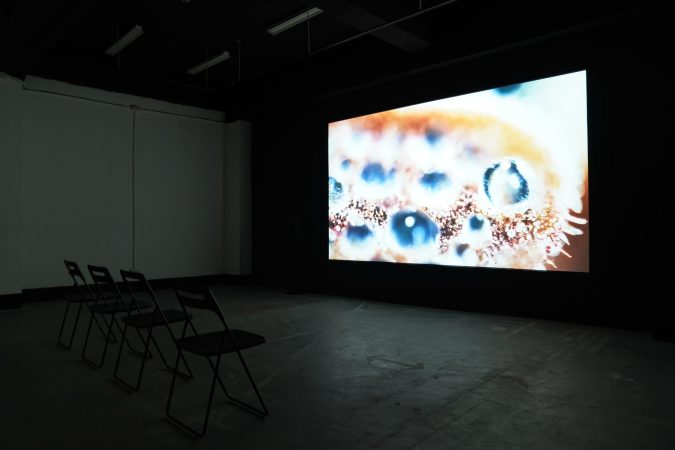 Chi-Wen X MOV Collection Screening Project_Jawshing Arthur Liou: Human Cannabis III-Tracing Green_Installation View at C-LAB Taipei 2025
