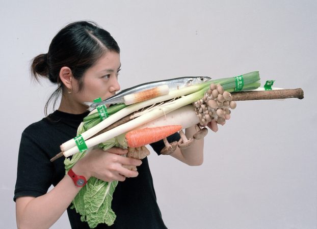Ozawa Tsuyoshi《Vegetable Weapon - Saury fish ball hot pot / Tokyo》（2001/2023）